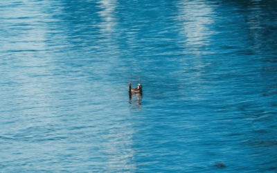 Reflections on Self-Acceptance: Exploring Its Meanings, Quotes, and Shadow Work